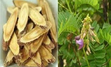 Bài thuốc